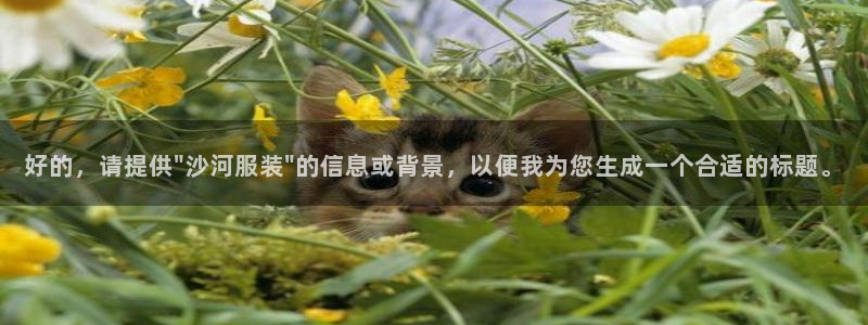 谈球吧的聊天软件有哪些