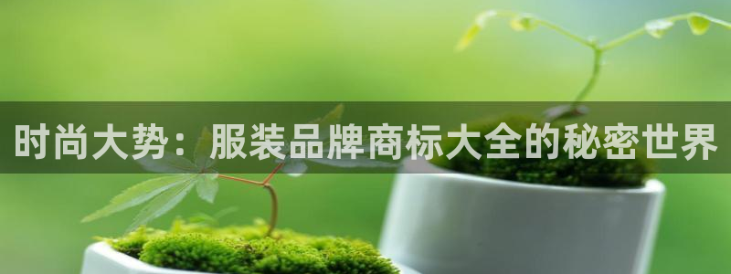 谈球吧的聊天软件是什么