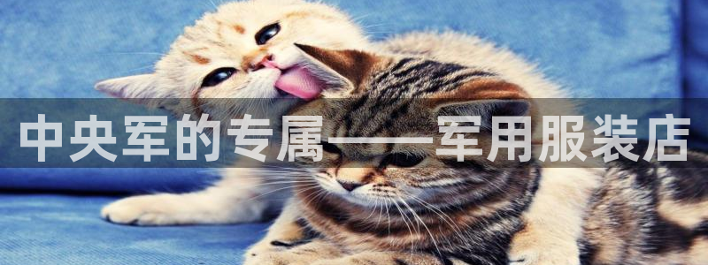 谈球吧官网在线入口手机版下载安装